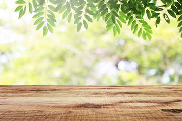 Empty wooden and blurred green nature garden background.
