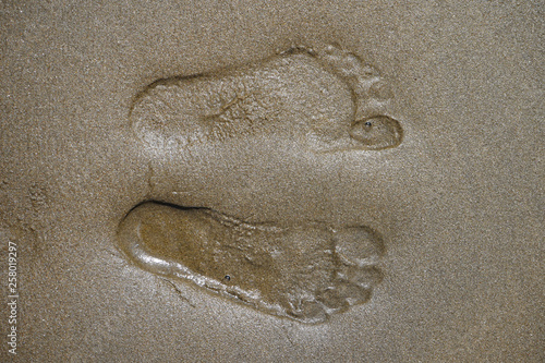 Footprint on beach

