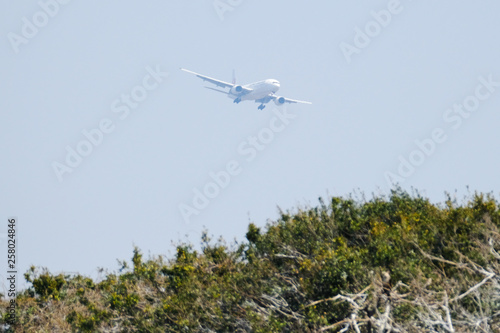 airplane in the sky