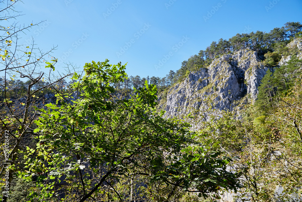 Stone tops of mountains with green trees