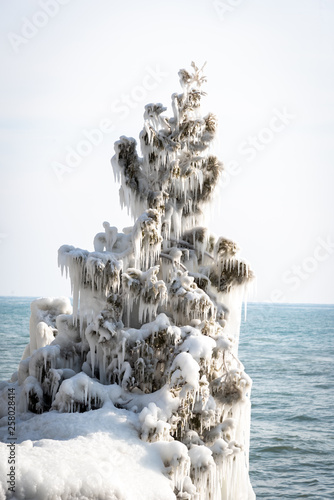 ice covered tree along Lake Michingan at Cave Point Park in Door county Wisconsin photo