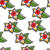 Plumeria Hawaiian symbol flower seamless pattern plant