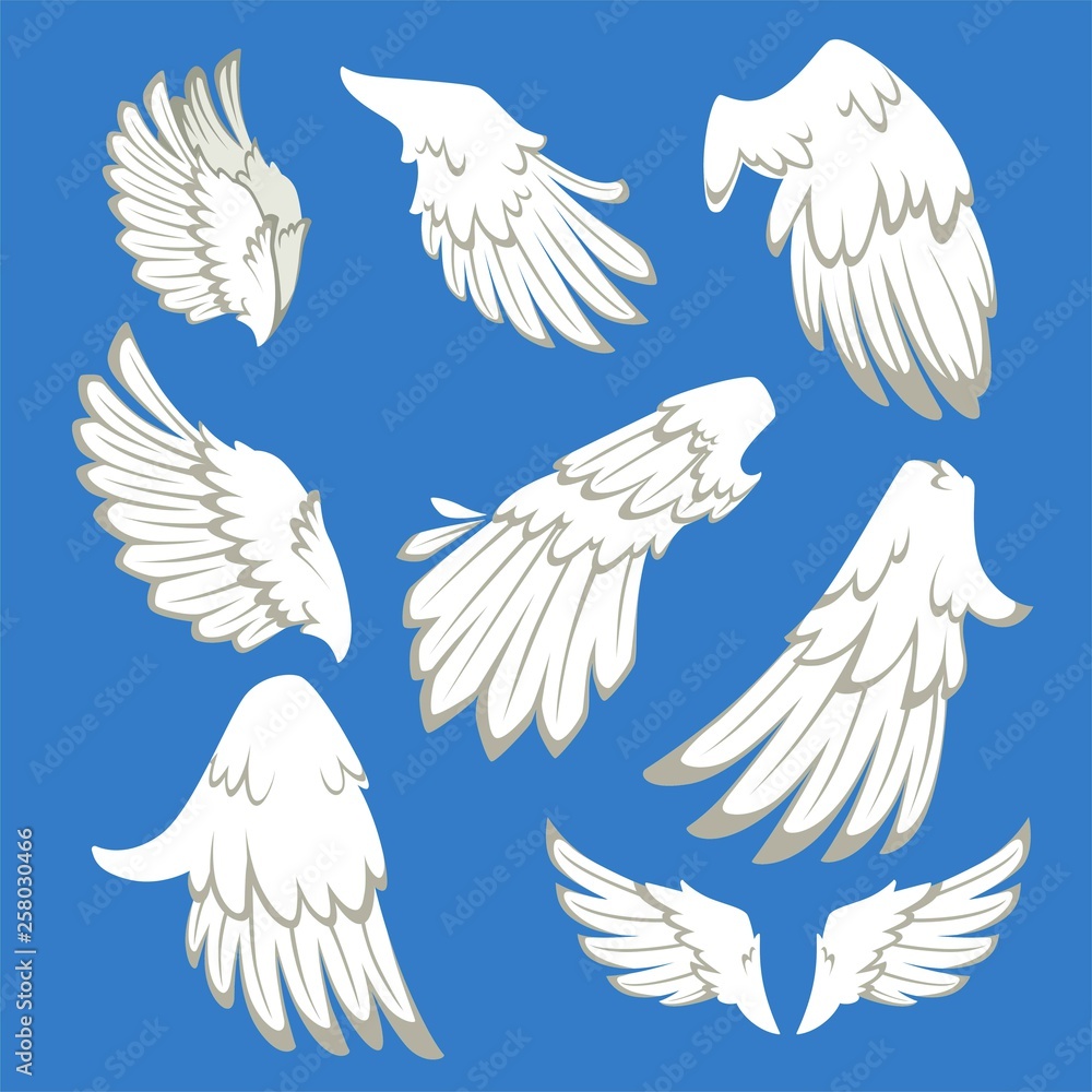 Fototapeta premium Angel or bird wings flight pair and single white feathers