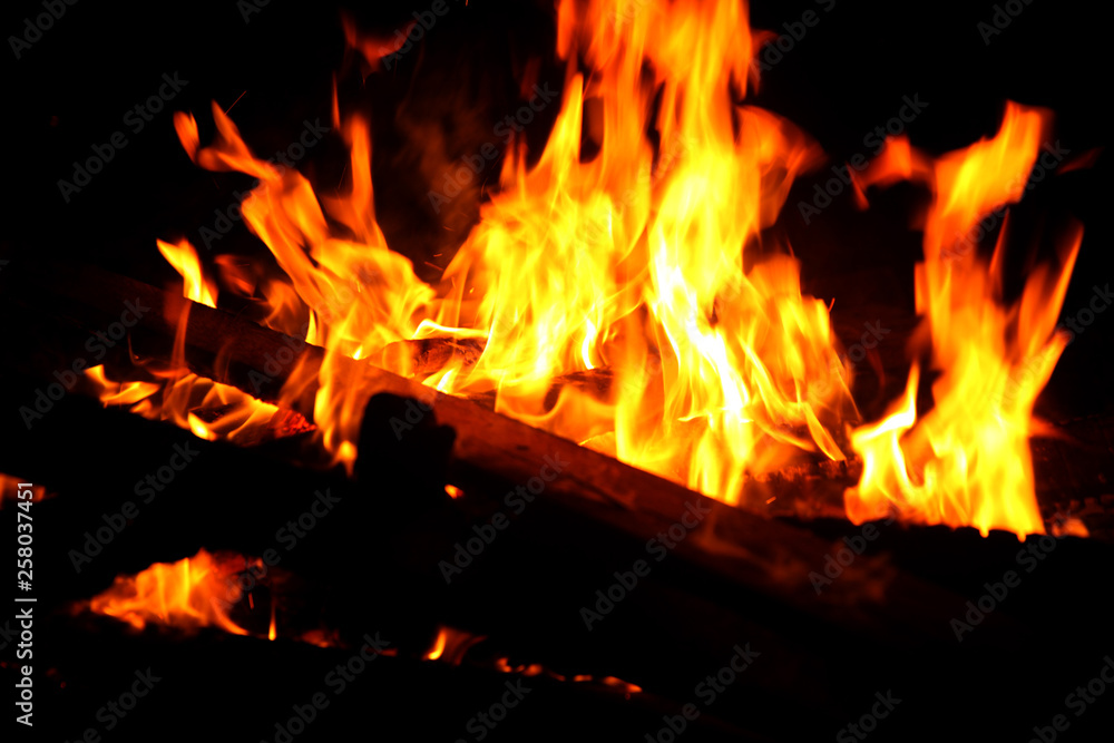 Burning firewood and fire flame at night Burning firewood and fire flame at night