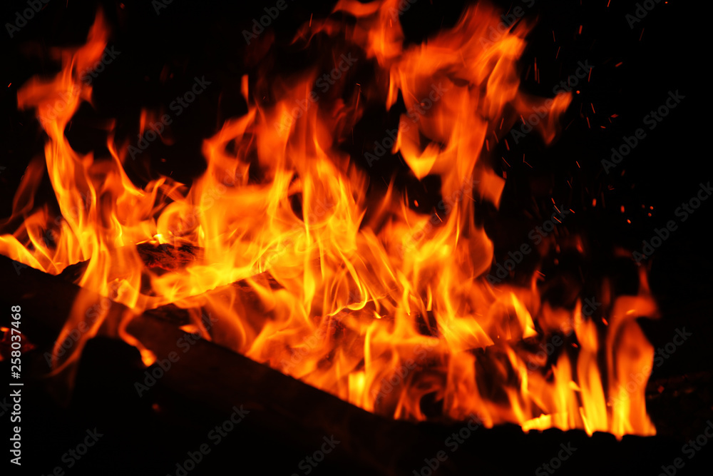 Burning firewood and fire flame at night Burning firewood and fire flame at night
