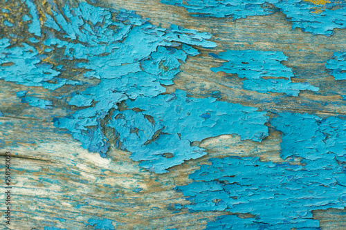 old blue Board, peeling paint on the Board, blue wood background