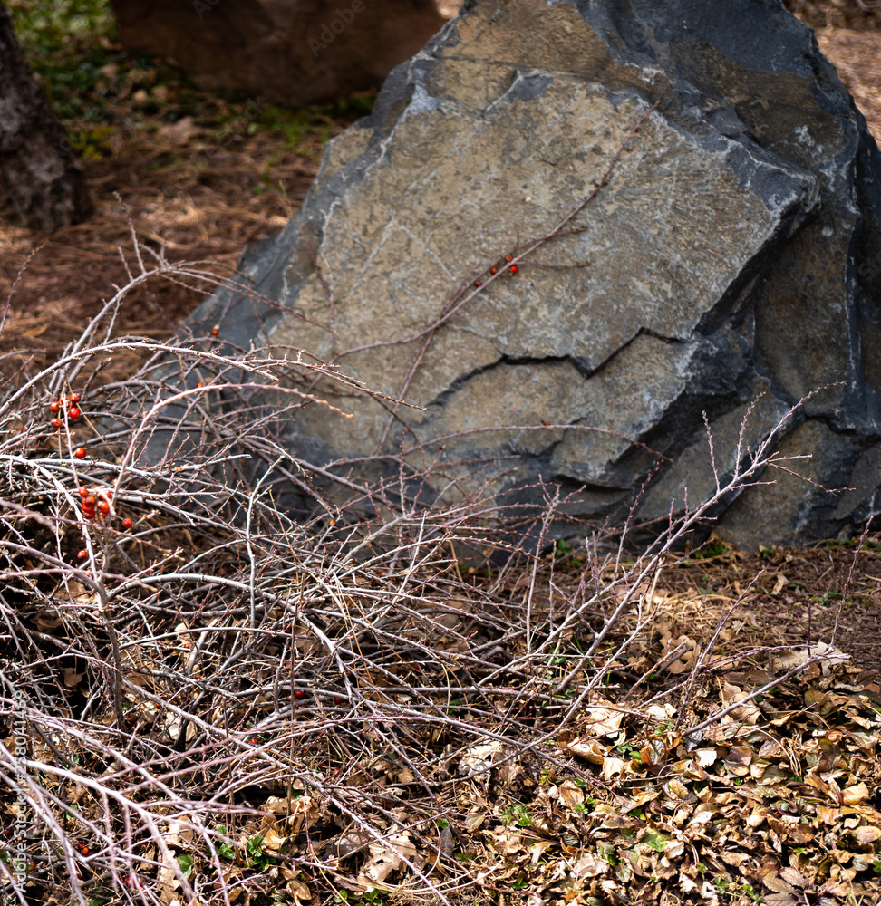 Obraz premium rocks, pebbles,