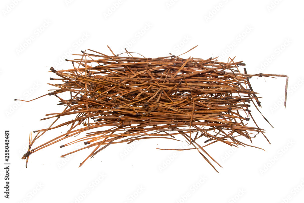 Fototapeta premium dry grass isolated on white background