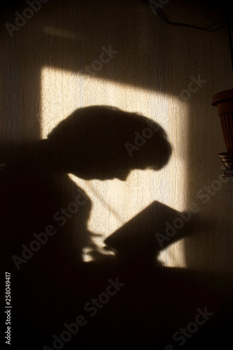silhouette of young boy with book on wall by the window