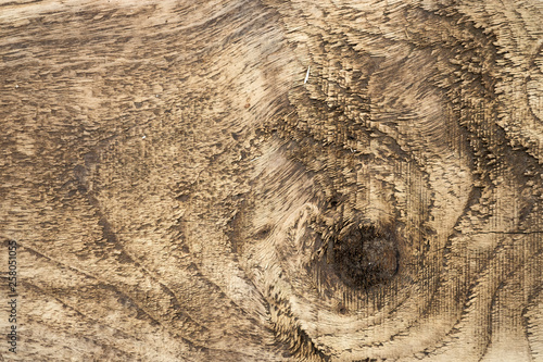 Knot in a timber plank wood grain background photo