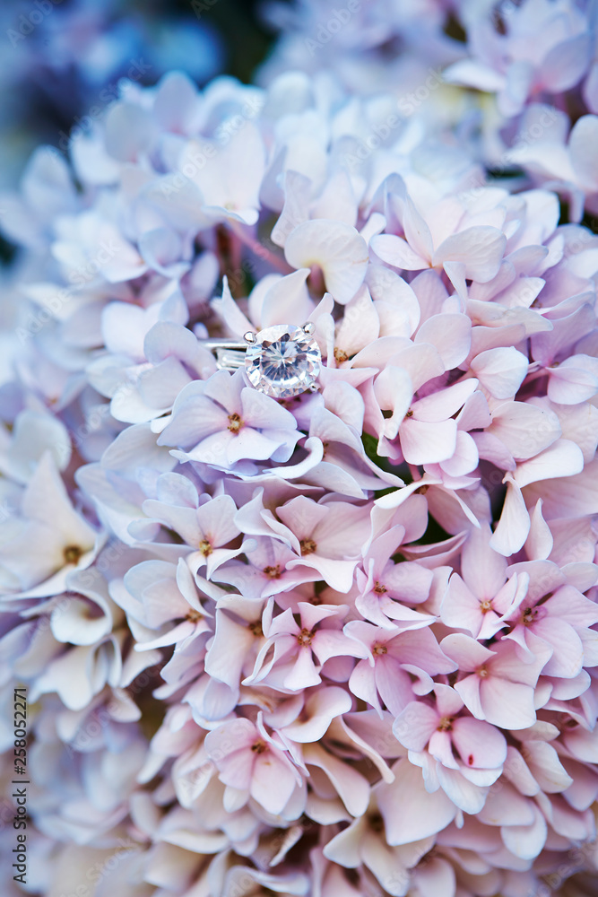 Fototapeta premium Beautiful flower bouquet 