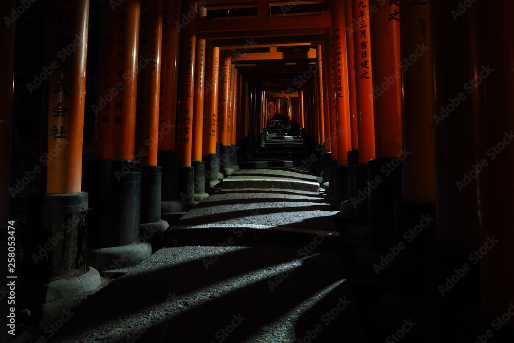 伏見稲荷大社の鳥居と影