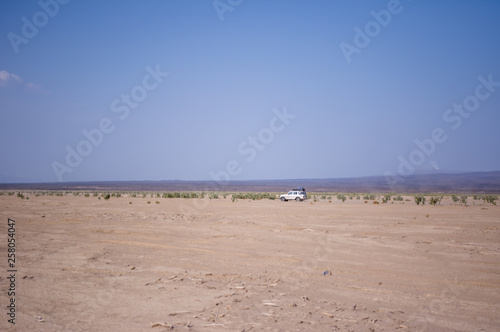 Landsacpe in Danakil in Erta Ale