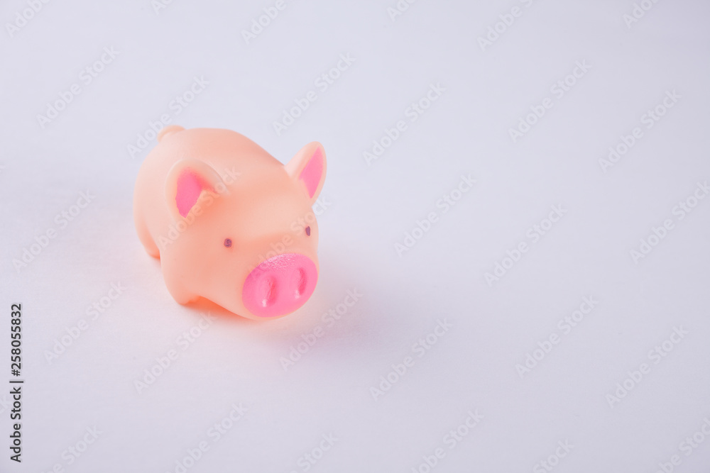 pink plastic pig on the blue background