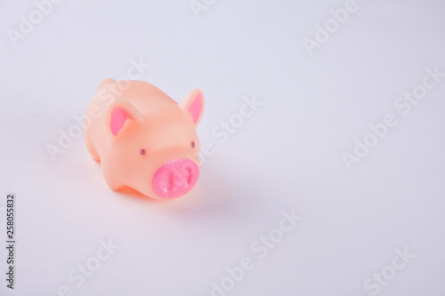 pink plastic pig on the blue background