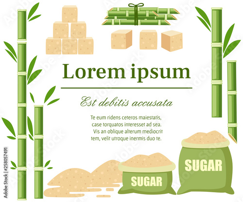 Sugar plant agricultural crops. Sugar cane with leaf. Sugar in sackcloth bags with label. Flat vector illustration on white background. Concept for greetings card and advertising flyer