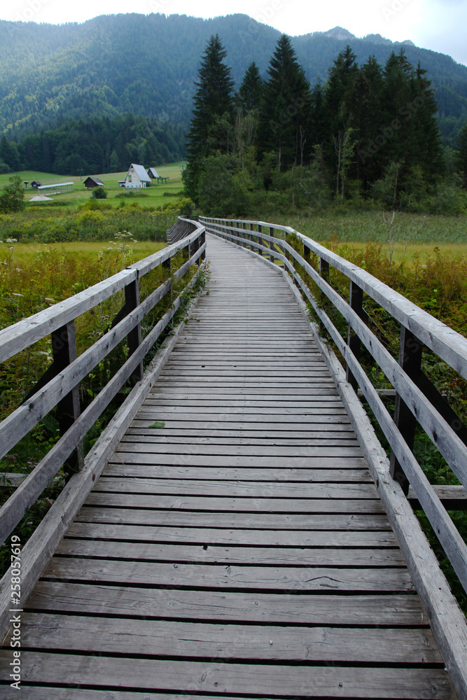 Obraz premium Nature walkway
