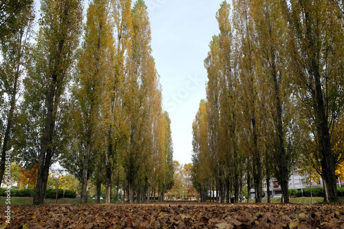 Park in Malesnica residential area, Zagreb, Croatia photo