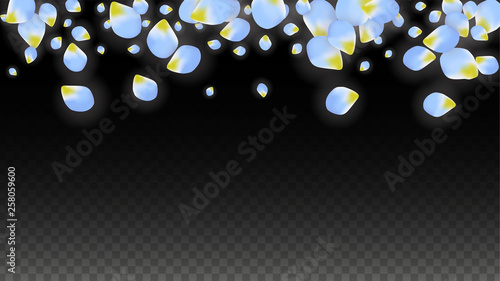 Vector Realistic Blue Petals Falling on Transparent Background.  Spring Romantic Flowers Illustration. Flying Petals. Sakura Spa Design. Blossom Confetti.