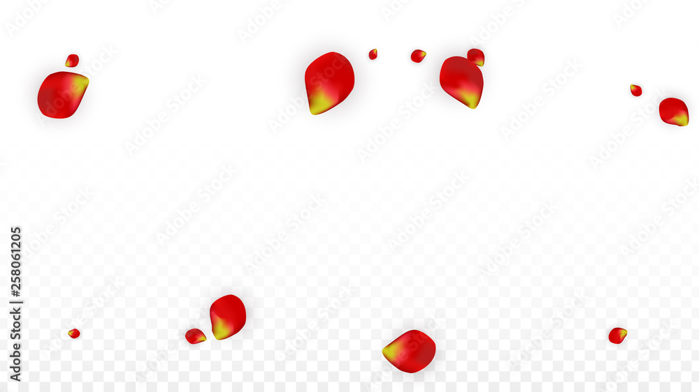 Vector Realistic Red Rose Petals Falling on Transparent Background. Romantic Flowers Illustration. Flying Petals. Sakura Spa Design. Blossom Confetti. Design Elements for Wedding Decoration. Vector Realistic Red Rose Petals Falling on Transparent Background. Romantic Flowers Illustration. Flying Petals. Sakura Spa Design. Blossom Confetti. Design Elements for Wedding Decoration.