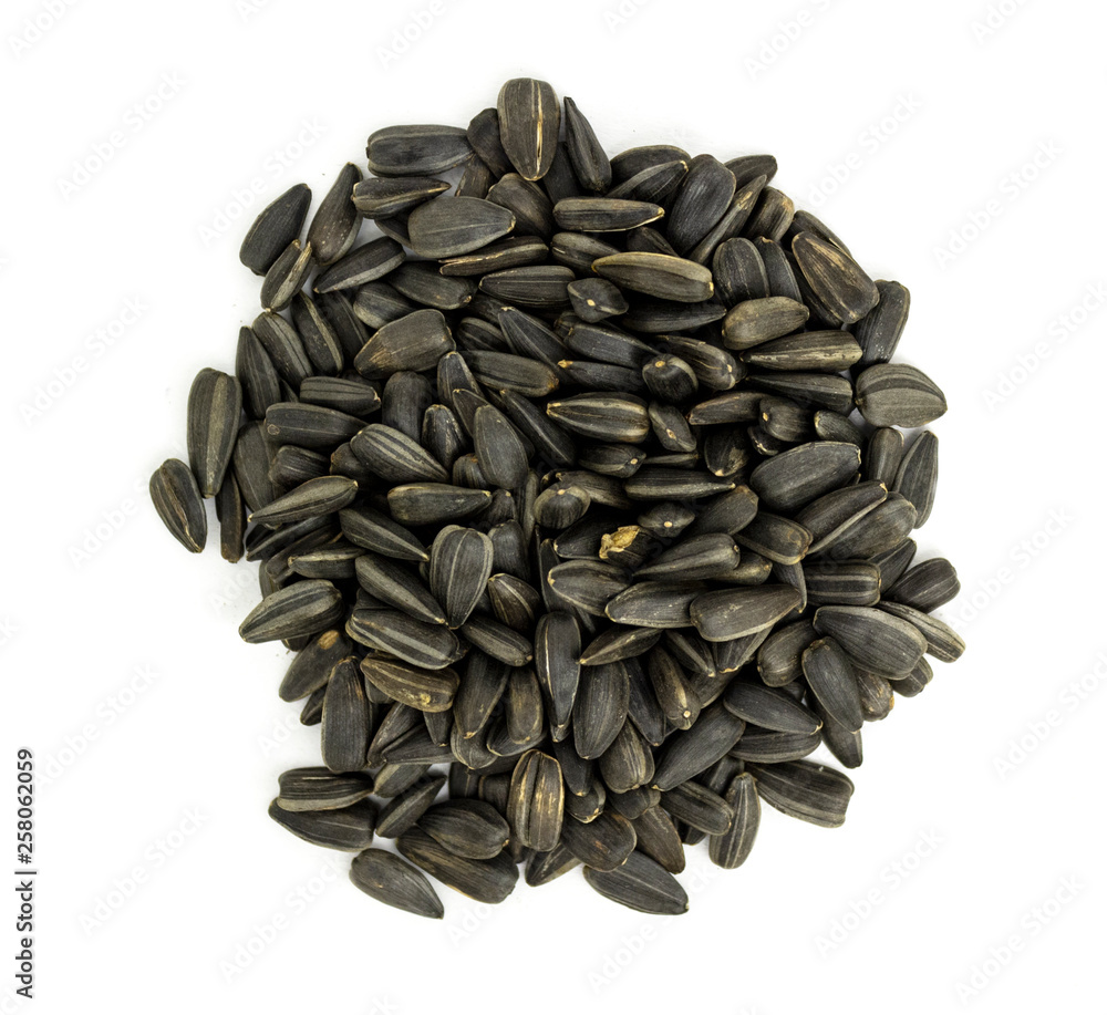 dry sunflower seeds on a white background dry sunflower seeds on a white background