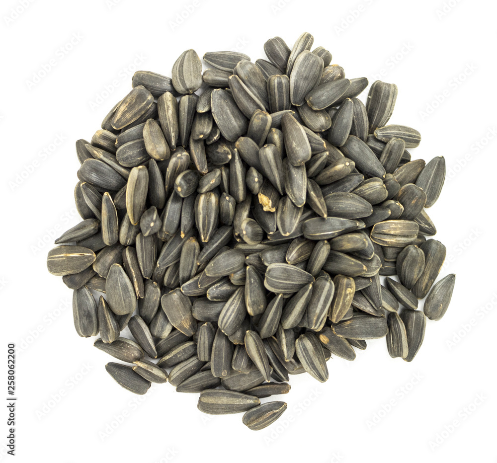 dry sunflower seeds on a white background dry sunflower seeds on a white background