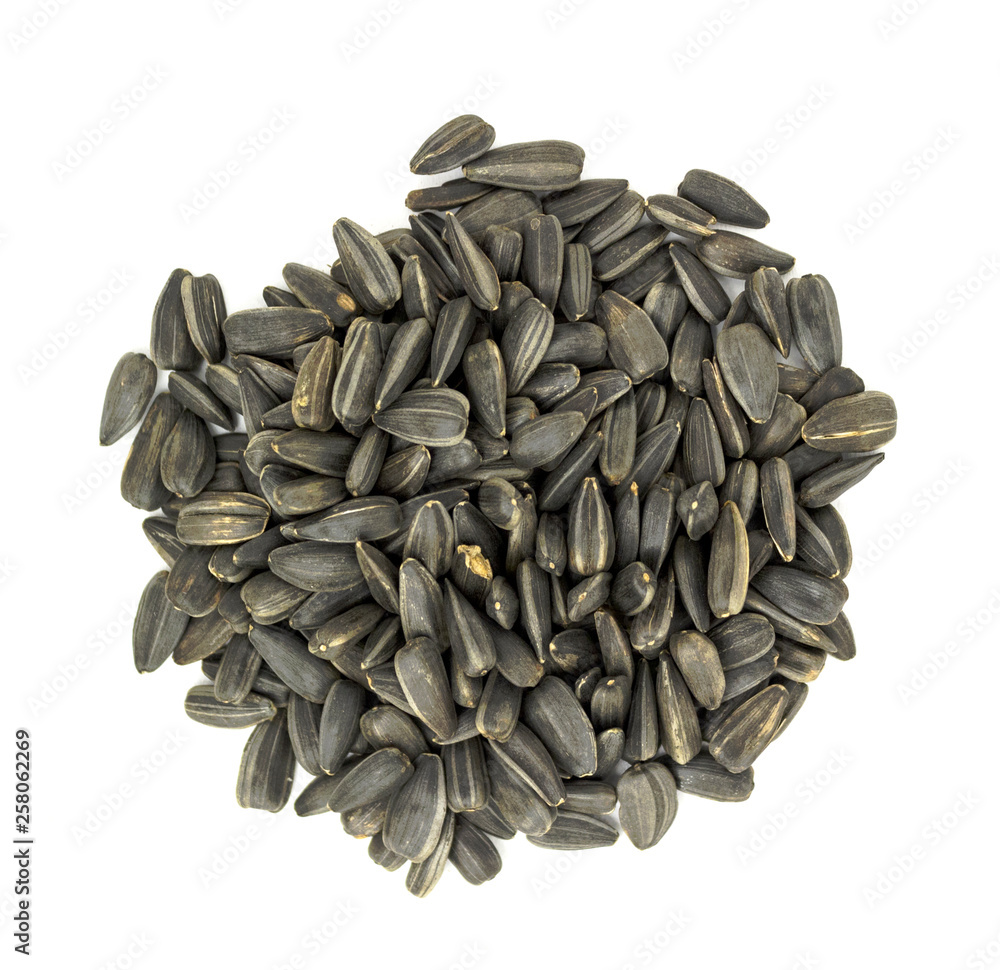 dry sunflower seeds on a white background dry sunflower seeds on a white background