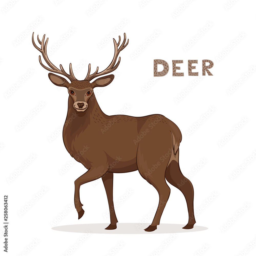 Vector illustration, a cartoon deer with long horns, isolated on a white background. Forest animal. Alphabet. Vector illustration, a cartoon deer with long horns, isolated on a white background. Forest animal. Alphabet.