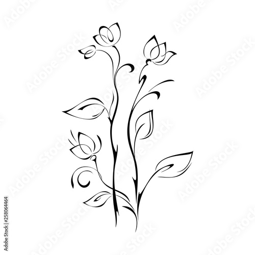 stylized flower buds on stems with leaves and curls in black lines on white background
