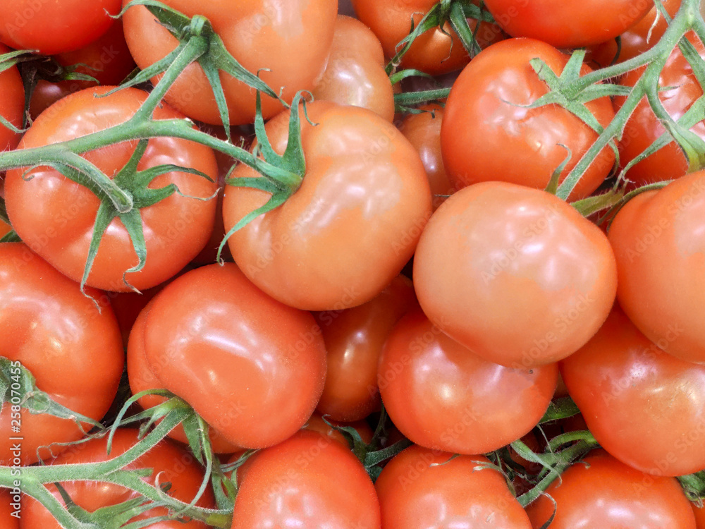red tomatoes with green sprigs for background