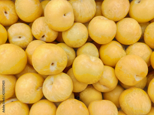 Obraz na płótnie yellow apricots for background w salonie