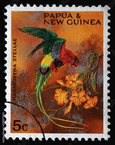 Stamp from Papua New Guinea shows Papuan Lorikeet (Charmosyna papou stellae), issued in 1967. photo