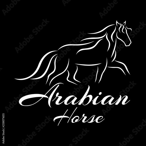 Modern horse logo