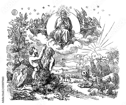 Valokuva Vintage antique illustration and line drawing or engraving of biblical God and angels flying above the animals and Adam and Eve in Garden of Eden after the creation of the world