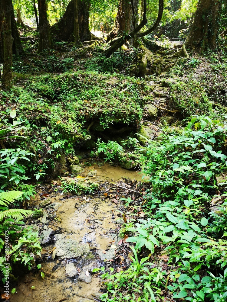 Fototapeta premium phuket waterfall