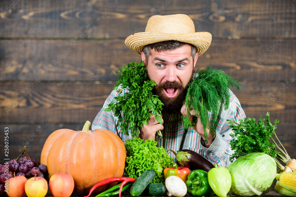 lush healthy beard. bearded mature farmer. harvest festival. man chef with rich autumn crop. organic and natural food. happy halloween. seasonal vitamin food. Useful fruit and vegetable