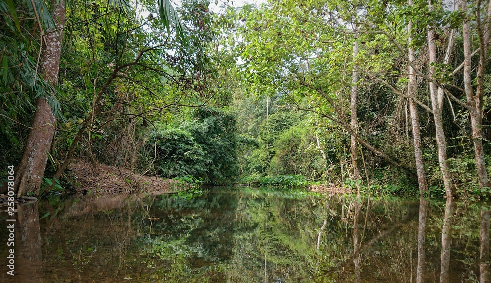 Obraz premium Nationalpark Kaeng Krachan, Thailand