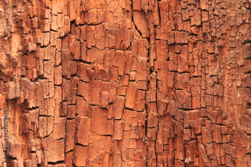 old wood