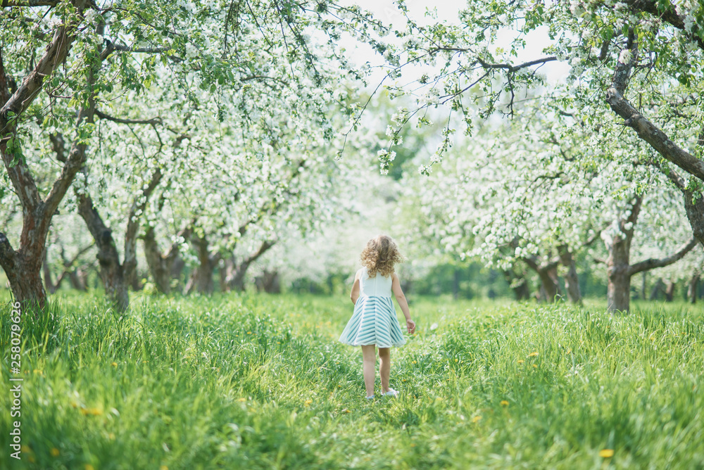 girl sniffing flowers of apple orchard. garden with flowering trees girl sniffing flowers of apple orchard. garden with flowering trees