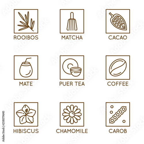 Vector set of herbal organic tea and drinks badges and icons in linear style - healthy drinks caffeine free packaging design elements