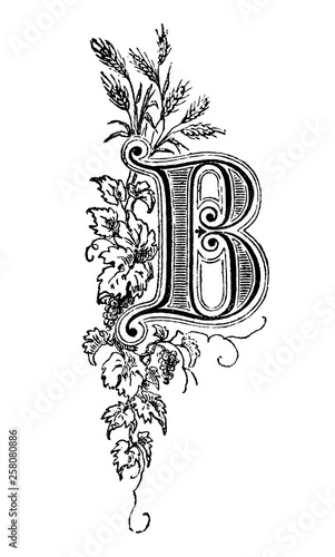 Vintage antique line drawing or engraving of decorative capital letter B with floral ornament or embellishment around. From Biblische Geschichte des alten und neuen Testaments, Germany 1859.