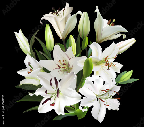 large bunch of white isolated on black lily flowers