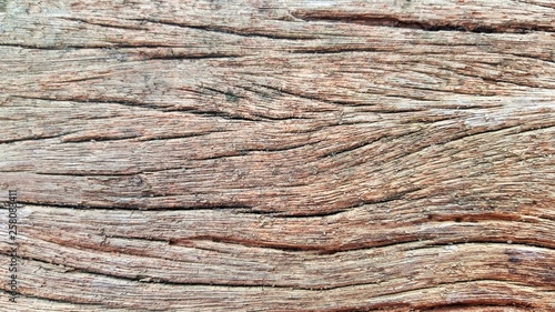 Old wood sheets that are decaying.