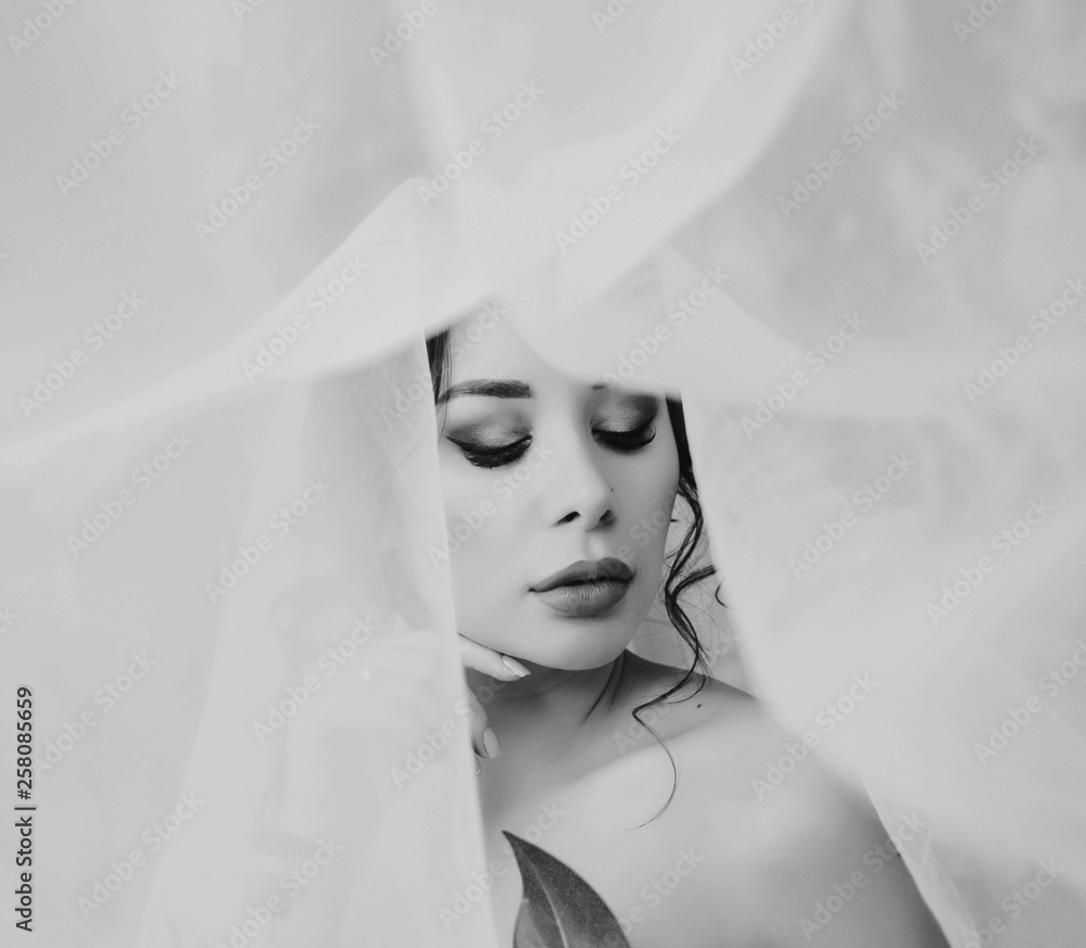 Close-up portrait of beautiful bride. Wedding dress and veil Close-up portrait of beautiful bride. Wedding dress and veil