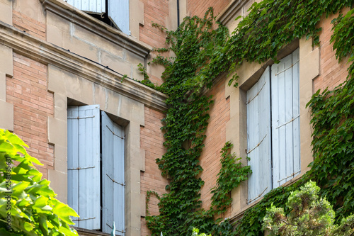 Typical Provencal architectrue with ivy growing outside the blue shuttered windows