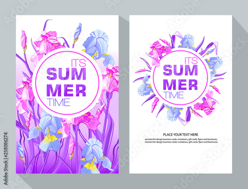 Summer Time banner with blue and purple flowers  flower iris design for banner  flyer  invitation  poster  placard  web site or greeting card. Vector illustration