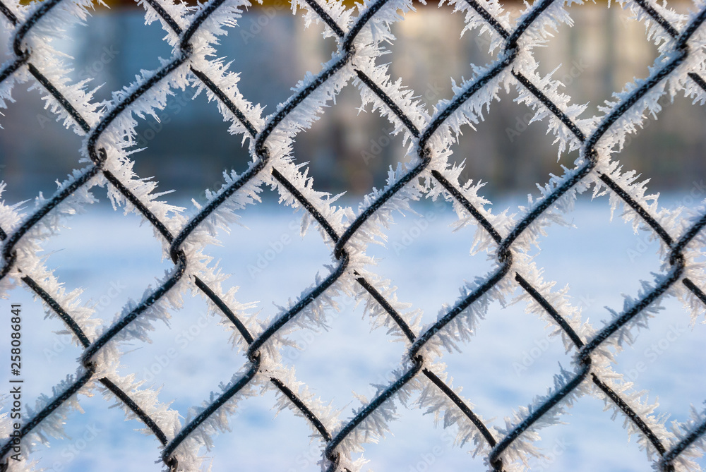 Fence frost winter abstract ice nature science Fence frost winter abstract ice nature science