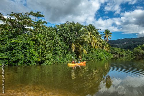 La mangrove Deshaies Guadeloupe