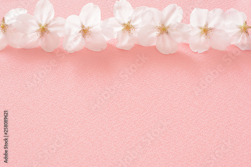 桜の花　桃色の布 © tamayura39