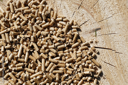 Holzpellets Energiewende